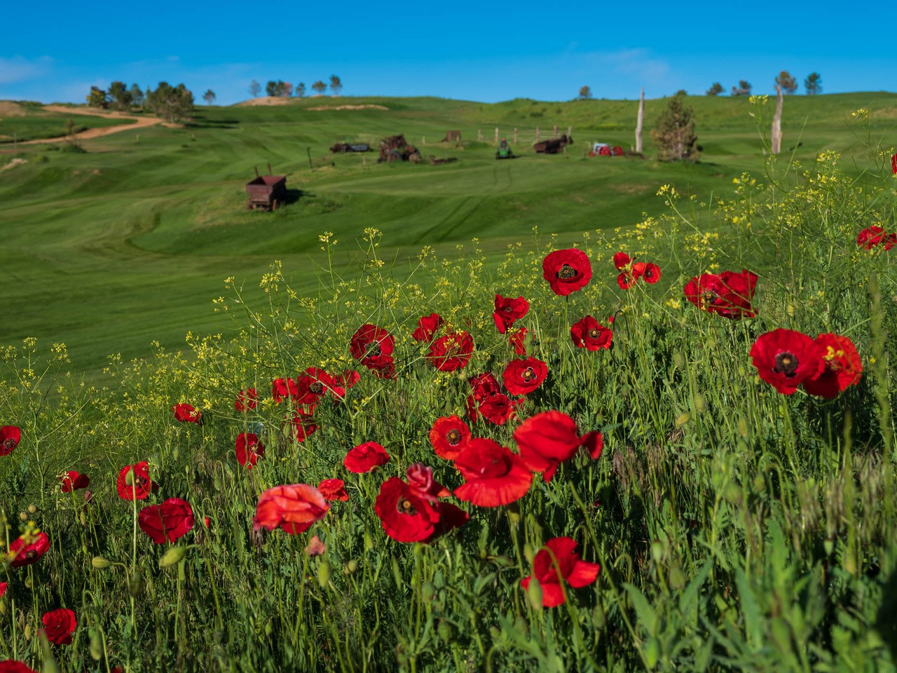 raindance-national-featured-in-golf-architects-magazine-raindance